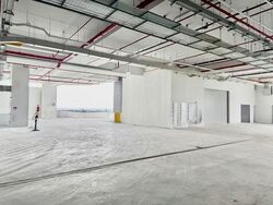Ct Foodnex (D25), Factory #577736281